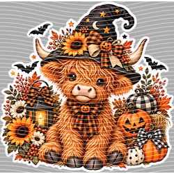 Halloween-WS 12465